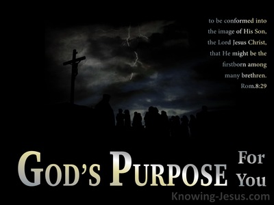 God’s Purpose For You